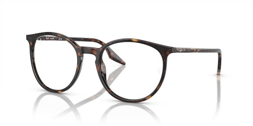 Ray-Ban RB2204 Transitions® L (54 - 20) with Transparent lenses and Tortoise frame Sunglasses