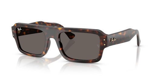 Ray-Ban RB4454 Lukas Bio-Based L (53 - 20) with Grey lenses and Tortoise frame Sunglasses