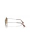 Ray-Ban RB8165 Jack Titanium S (51 - 20) with Brown lenses and Gold frame Sunglasses