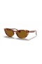 Ray-Ban RB4314N Nina M (54 - 18) with Brown lenses and Brown frame Sunglasses