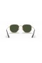 Ray-Ban RB3548N Hexagonal Flat Lenses XL (54 - 21) with Green lenses and Gold frame Sunglasses