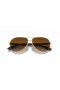 Ray-Ban RB8313 Carbon Fibre M (58 - 13) with Brown lenses and Gold frame Sunglasses