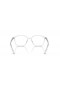 Ray-Ban RB2193 Leonard Transitions® M (53 - 18) with Grey lenses and Transparent frame Sunglasses