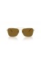 Ray-Ban RBR0102S Caravan Reverse XL (58 - 15) with Brown lenses and Gold frame Sunglasses