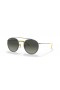 Ray-Ban RB3647M Scuderia Ferrari Collection M (51 - 22) with Grey lenses and Silver frame Sunglasses