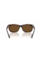 Ray-Ban RB2389 Balorette XL (60 - 19) with Brown lenses and Tortoise frame Sunglasses