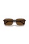 Ray-Ban RB2231F Raimond L (56 - 18) with Brown lenses and Tortoise frame Sunglasses