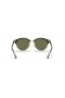 Ray-Ban RB4246 Clubround Classic M (51 - 19) with Green lenses and Black frame Sunglasses