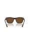 Ray-Ban RB4428 L (56 - 21) with Brown lenses and Tortoise frame Sunglasses