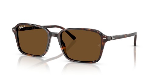 Ray-Ban RB2231 Raimond XL (58 - 18) com lentes Marrom e Tartaruga armação Óculos de sol