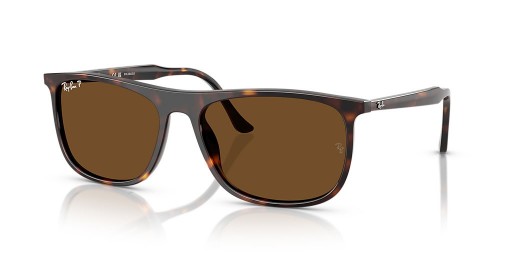 Ray-Ban RB2216 XL (58 - 18) com lentes Marrom e Tartaruga armação Óculos de sol