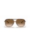 Ray-Ban RB2198 Bill M (60 - 14) com lentes Marrom e Tartaruga armação Óculos de sol