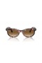 Ray-Ban RB2242 Wayfarer Oval M (50 - 22) com lentes Marrom e Tartaruga armação Óculos de sol
