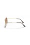 Ray-Ban RB3548N Hexagonal Lentes Planas S (48 - 21) com lentes Marrom e Ouro armação Óculos de sol