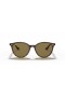 Ray-Ban RB4305 M (53 - 19) com lentes Marrom e Tartaruga armação Óculos de sol