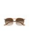 A Ray-Ban RB4171 Erika Színes Mix M (54 - 18) Barna lencse, Barna keret Napszemüveg