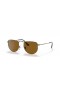 A Ray-Ban RB3958 Elon XS (47 - 20) Barna lencse, Sárga keret Napszemüveg