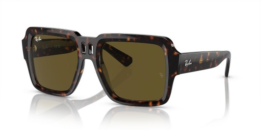 Ray-Ban RB4408 Magellan Bith-Bhunaithe L (54 - 19) le lionsaí Donn agus Turtar fráma Sunglasses