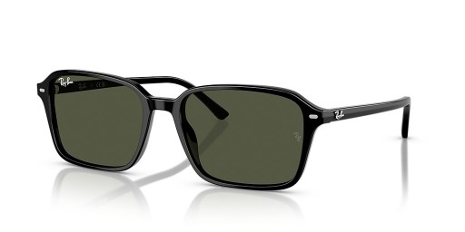 Ray-Ban RB2231F Raimond L (56 - 18) le Glas lionsaí agus Dubh fráma Sunglasses