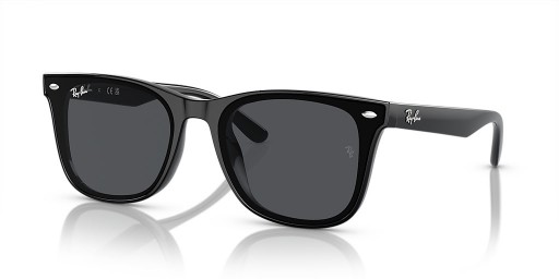 Ray-Ban RB4420 XL (65 - 18) le lionsaí Liath agus Dubh fráma Sunglasses