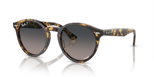 Ray-Ban RB7680S Larry M (51 - 21) le lionsaí Liath agus Turtar fráma Sunglasses