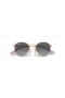 Ray-Ban RB9547S Bhabhta Páistí S (44 - 19) le lionsaí Liath agus Óir fráma Sunglasses