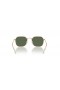 Ray-Ban RB9594S Páistí XL (49 - 19) le Glas lionsaí agus Óir fráma Sunglasses