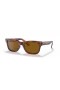 Ray-Ban RB2283 Burbank XL (55 - 20) le lionsaí Donn agus Donn fráma Sunglasses