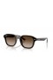 Ray-Ban RB4458D XL (65 - 18) le lionsaí Donn agus Donn fráma Sunglasses