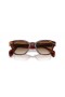 Ray-Ban RB0880S L (52 - 19) le lionsaí Donn agus Donn fráma Sunglasses
