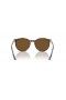 Ray-Ban RB2204 S (51 - 20) le lionsaí Donn agus Donn fráma Sunglasses