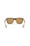 Ray-Ban RB4181 M (57 - 16) le lionsaí Donn agus Turtar fráma Sunglasses