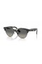 Ray-Ban RB2341 Clubmaster Bhealach L (54 - 19) le lionsaí Liath agus Havana fráma Sunglasses