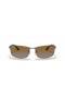 Ray-Ban RB3498 XXL (61 - 17), le lionsaí Donn agus Óir fráma Sunglasses