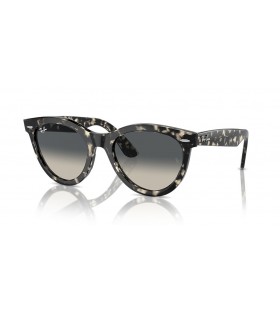 Ray-Ban RB2241 Wayfarer Bhealach XL (54 - 21) le lionsaÃ­ Liath agus Turtar frÃ¡ma Sunglasses