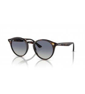 Ray-Ban RB2180 L (51 - 21) le lionsaí Liath agus Turtar fráma Sunglasses