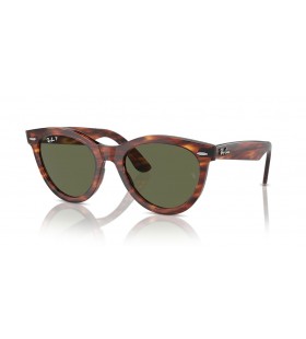 Ray-Ban RB2241 Wayfarer Bhealach L (51 - 21) le Glas lionsaÃ­ agus Donn frÃ¡ma Sunglasses