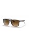 Ray-Ban RB4374 XL (56 - 19) con lenti Marrone e Marrone frame Occhiali da sole