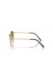 Ray-Ban RB3637 Nuovo Round M (53 - 21) con lenti Marrone e Oro frame Occhiali da sole