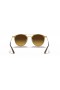 Ray-Ban RB3546 XL (52 - 20) con lenti Marrone e Marrone frame Occhiali da sole