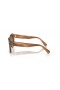 Ray-Ban RB2186 State Street M (49 - 20) con lenti Brown Tortoise frame Occhiali da sole