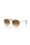 Ray-Ban RB3637 Nuovo Round M (53 - 21) con lenti Marrone e Oro frame Occhiali da sole