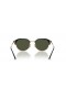 Ray-Ban RB4429 XXL (55 - 20) con lenti Verde e telaio Nero Occhiali da sole