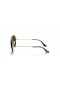 Ray-Ban RB3025 Aviator Avana Collezione XXL (62 - 14) con lenti Verdi e Oro frame Occhiali da sole