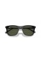 Ray-Ban RB2210 L (53 - 21) con lenti Verde e telaio Nero Occhiali da sole