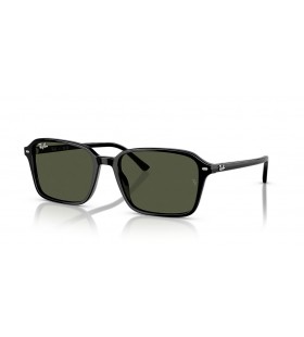 Ray-Ban RB2231F Raimond L (56 - 18) con lenti Verde e telaio Nero Occhiali da sole