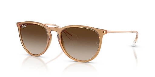 Ray-Ban RB4171エリカクラシックM(54-18)モノ-コト-ミル-ヒトでレンズブラウンフレームサングラス