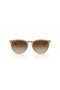 Ray-Ban RB4171エリカクラシックM(54-18)モノ-コト-ミル-ヒトでレンズブラウンフレームサングラス