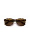 Ray-Ban RB4374XL(56-19)モノ-コト-ミル-ヒトでレンズ-タートルフレームサングラス