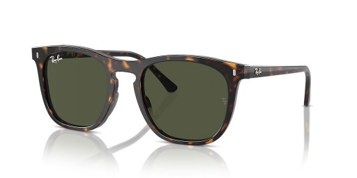 Ray-Ban RB2210 L (53 - 21) med Grønne linser og Tortoise frame Solbriller